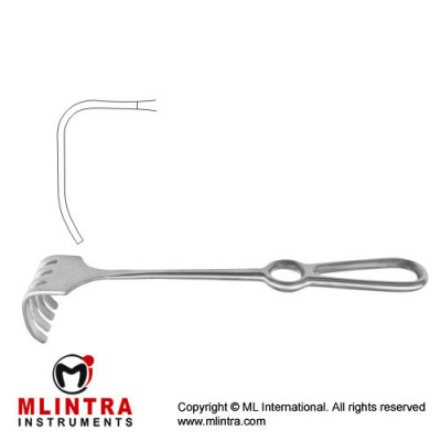 Israel Retractor 4 Blunt Prongs Stainless Steel, 25.5 cm - 10" Blade Size 40 x 40 mm Israel Retractor 4 Blunt Prongs Stainless Steel, 25.5 cm - 10" Blade Size 40 x 40 mm